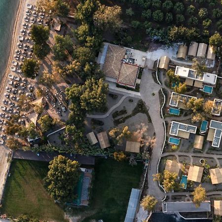 Ergon Beach House Nikiti エクステリア 写真